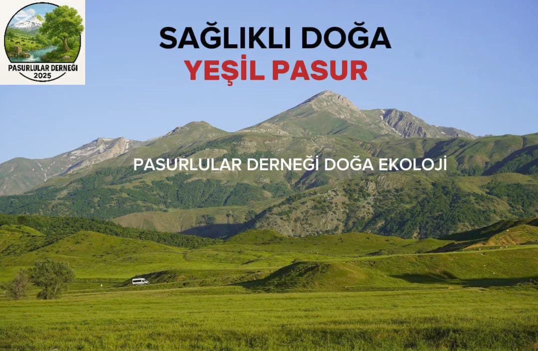 WhatsApp Image 2025-12-01 at 11-39-49