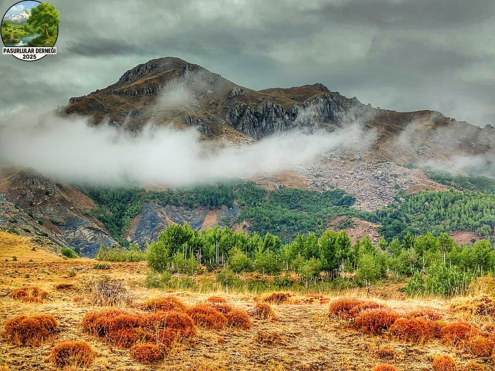 WhatsApp Image 2025-12-16 at 13-27-38